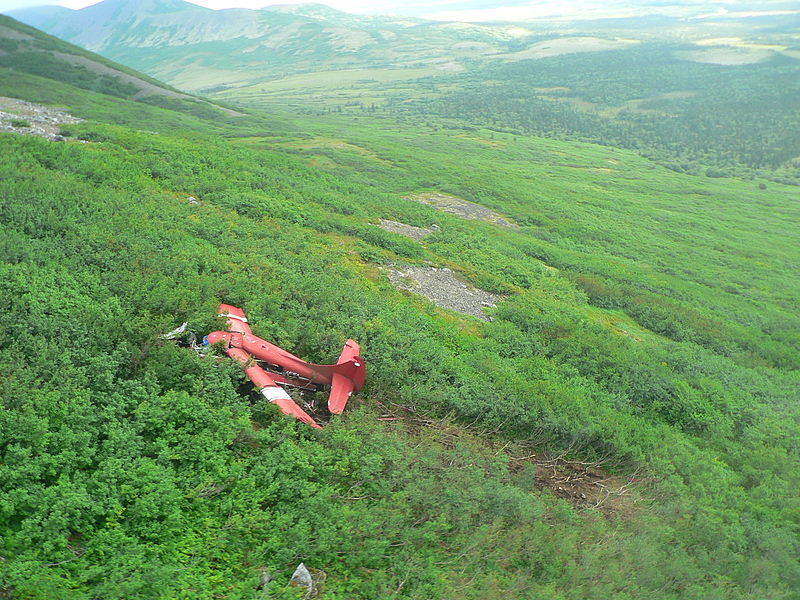 Stevens plane crash